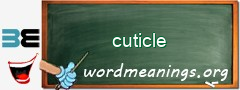 WordMeaning blackboard for cuticle